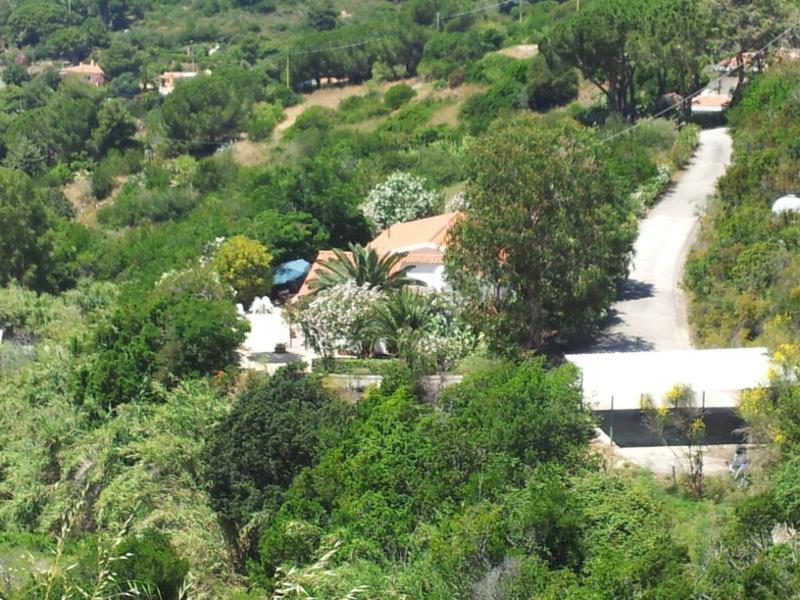 Alloggi Del Mirto A Morcone - Goelba Capoliveri  Exteriér fotografie