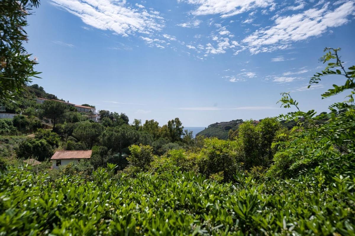Alloggi Del Mirto A Morcone - Goelba Capoliveri  Exteriér fotografie