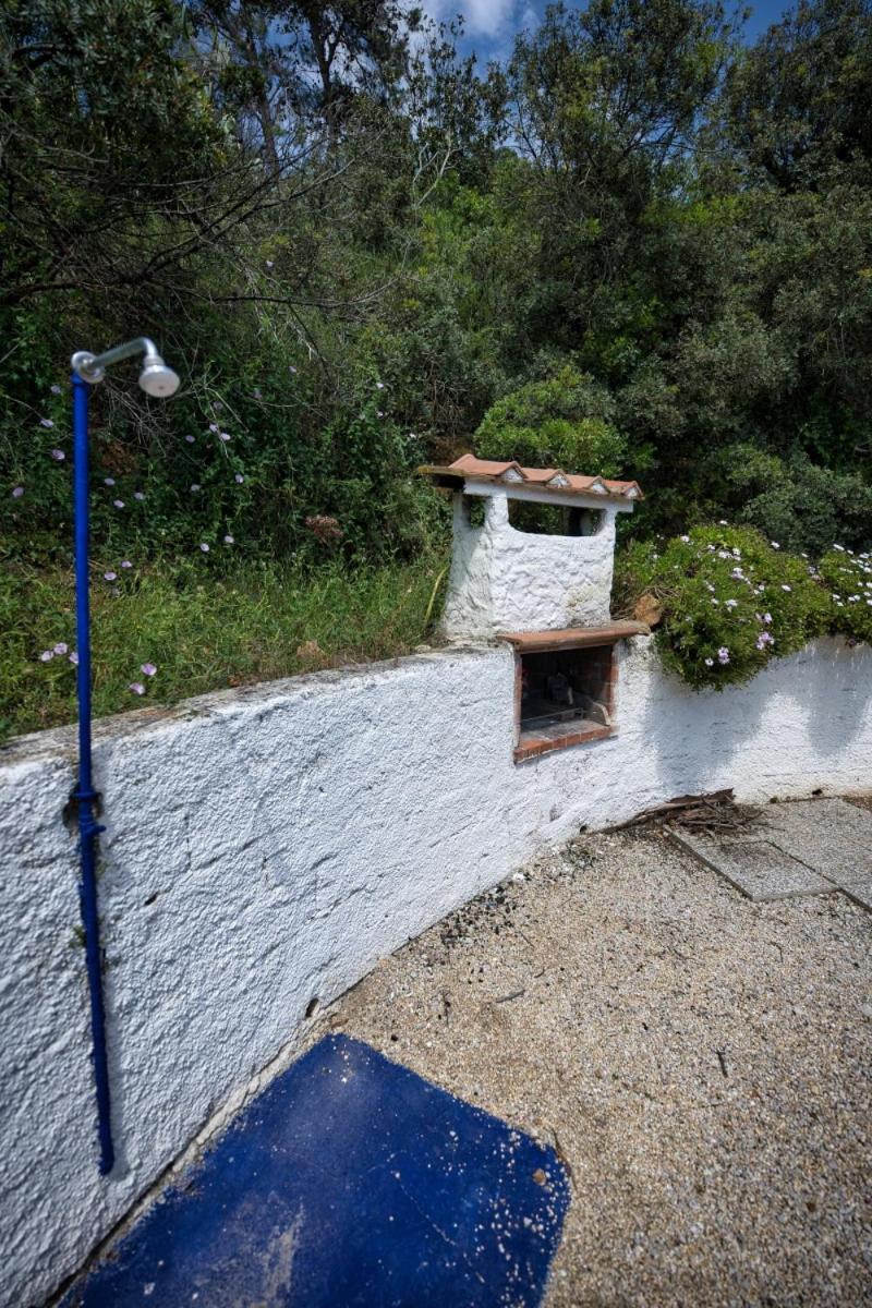 Alloggi Del Mirto A Morcone - Goelba Capoliveri  Exteriér fotografie