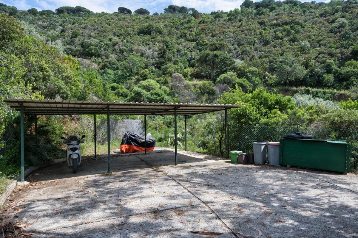 Alloggi Del Mirto A Morcone - Goelba Capoliveri  Exteriér fotografie