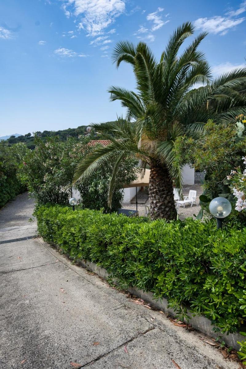 Alloggi Del Mirto A Morcone - Goelba Capoliveri  Exteriér fotografie